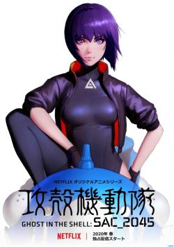 Ghost in the Shell : SAC_2045