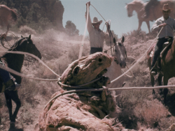 Godmonster of Indian Flats