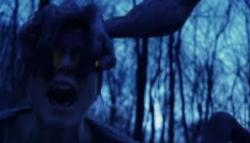 The Gracefield Incident