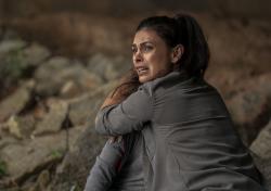 Greenland - le dernier refuge