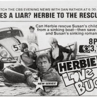 Herbie, the Love Bug