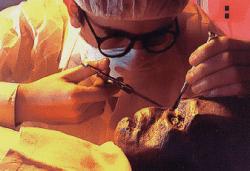 Plaga Zombie : Mutant Zone