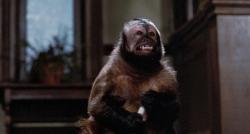 Incidents de Parcours