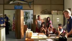 Jersey Shore Shark Attack