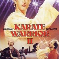 Karate Warrior 2