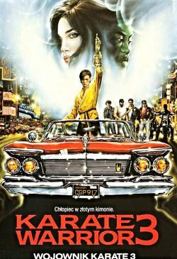 Karate Warrior 3