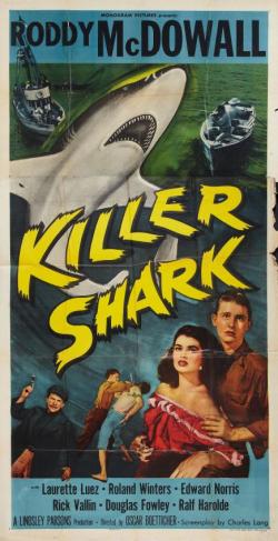 Killer Shark