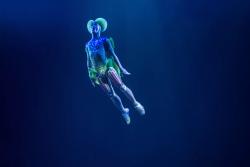 Kurios: Cabinet des Curiosités