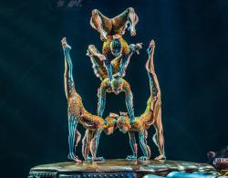 Kurios: Cabinet des Curiosités