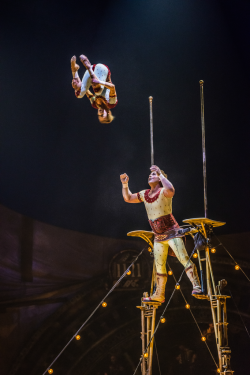 Kurios: Cabinet des Curiosités