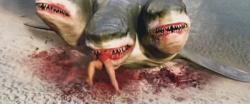L'attaque du requin à trois têtes