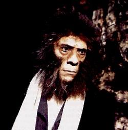 Le Gentleman des Antipodes