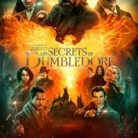 Les Animaux Fantastiques 3: Les Secrets de Dumbledore