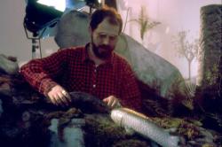 Les Larmes d'Ichtyostéga