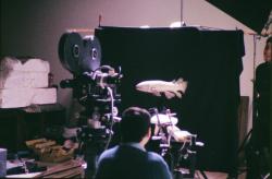 Les Larmes d'Ichtyostéga