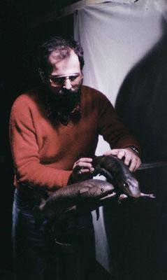 Les Larmes d'Ichtyostéga