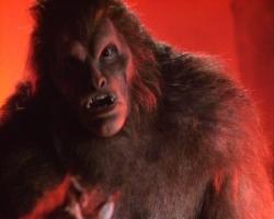 Meridian : le Baiser de la Bête