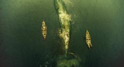 Au coeur de l'Océan