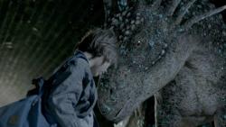 Mon Ami le Dinosaure