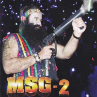 MSG 2: The Messenger