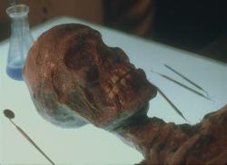 The Mummy Theme Park