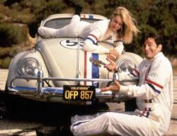 Un Nouveau Départ pour la Coccinelle