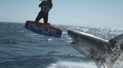 Planet of the Sharks