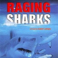 Raging Sharks