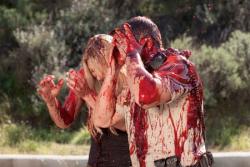 Beach shark - Sand Sharks : Les Dents de la Plage