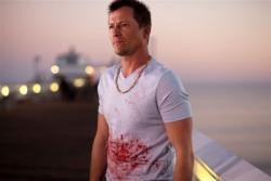 Beach shark - Sand Sharks : Les Dents de la Plage