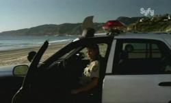 Beach shark - Sand Sharks : Les Dents de la Plage