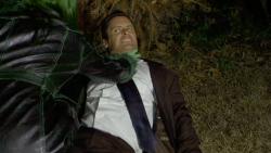 Shamelessly She-Hulk