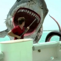 sharktopusvswhalewolfp2
