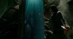 La Forme de l'eau - The Shape of Water