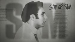 Son of Sam: The Hunt for a Killer