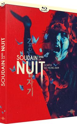 Soudain dans la Nuit