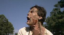 La Nuit des Vers Géants