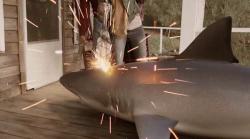 Summer Shark Attack