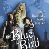 The Blue Bird