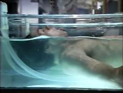 Le Maître des Clones