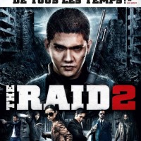 The Raid 2