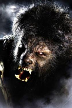 Wolfman