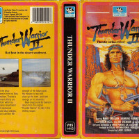 Thunder Warrior II