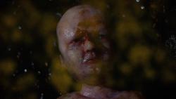 Tomorrow I Will Be Dirt