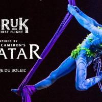 Toruk: Le Premier Envol