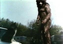 Yéti: Le Géant d'un Autre Monde