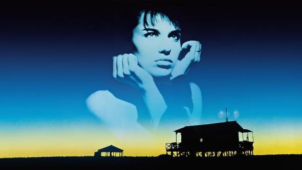 37.2 LE MATIN - Je ressemble à Rocky, bb !