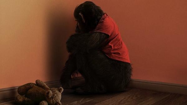 Primate - Bande-annonce VF [Au cinéma le 21 janvier]