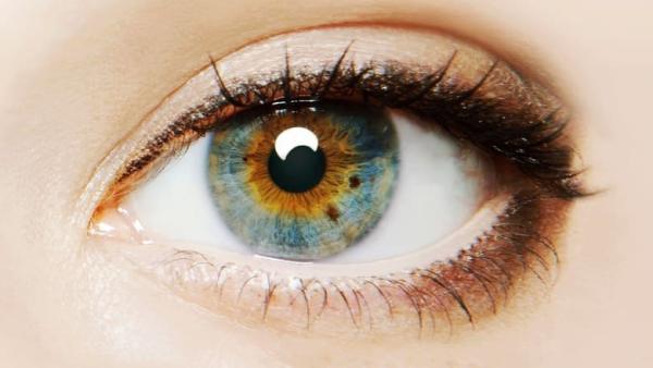 I Origins - Bande Annonce VOST