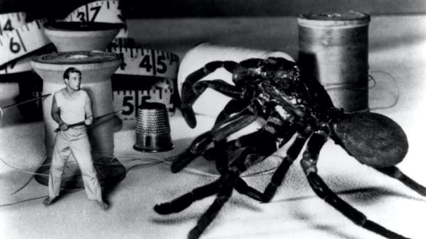 The Incredible Shrinking Man [1957]